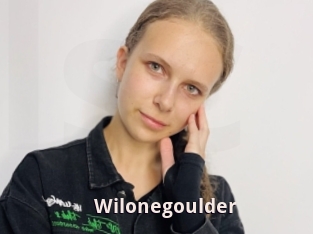 Wilonegoulder