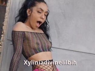 Xyliniadivinelilbih