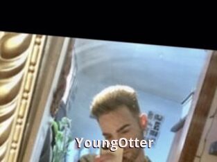 YoungOtter