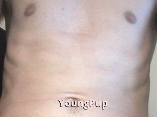 YoungPup