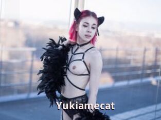 Yukiamecat