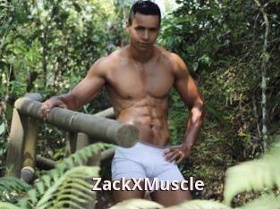 ZackXMuscle