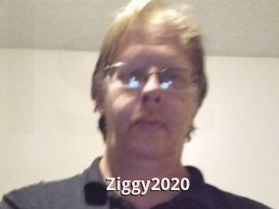 Ziggy2020