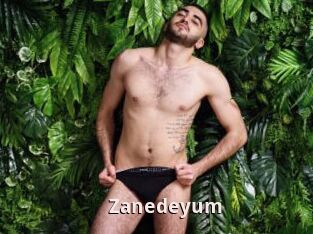 Zanedeyum