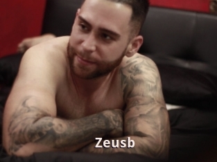 Zeusb