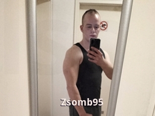 Zsomb95